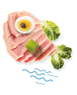 Tuna and eggs